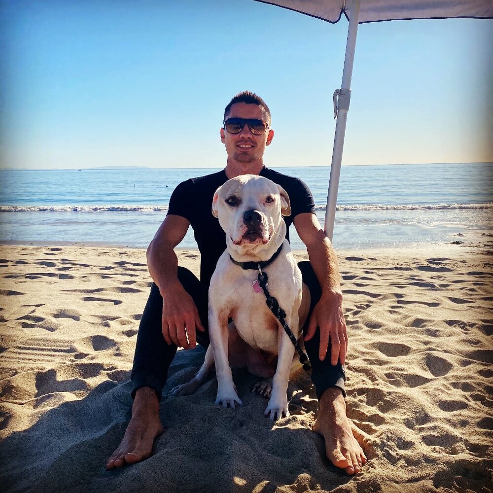 Meet your Posher, Guiseppe